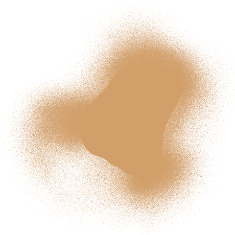 16 Days of Activism Digital Party