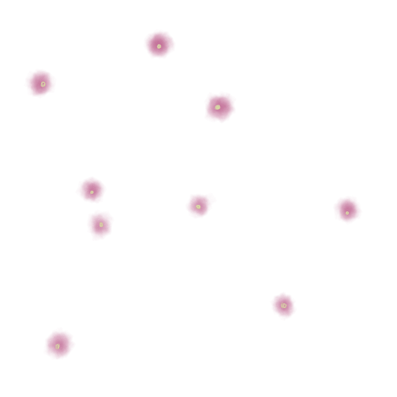 16 Days of Activism Digital Party