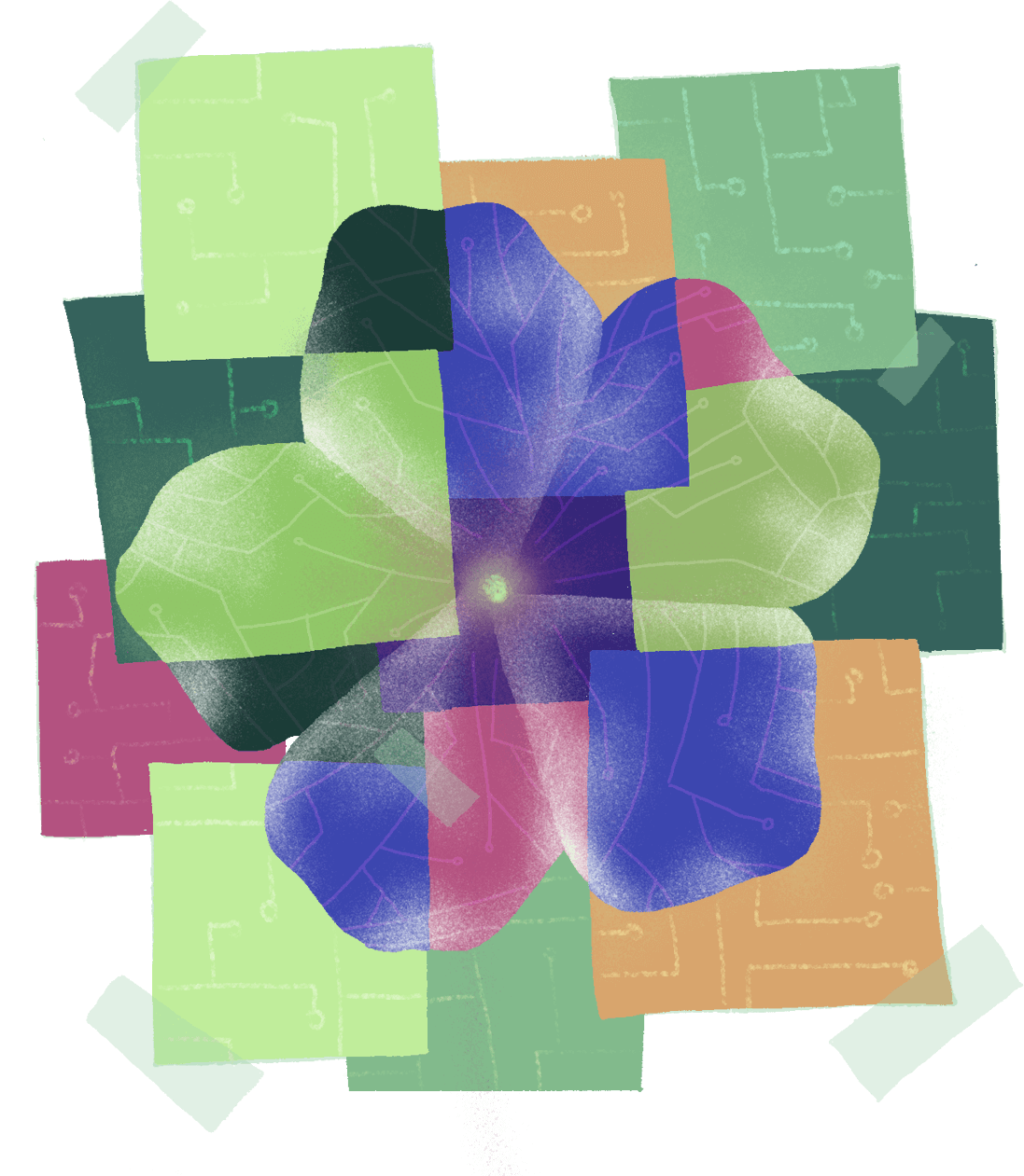 Feminist-participatory