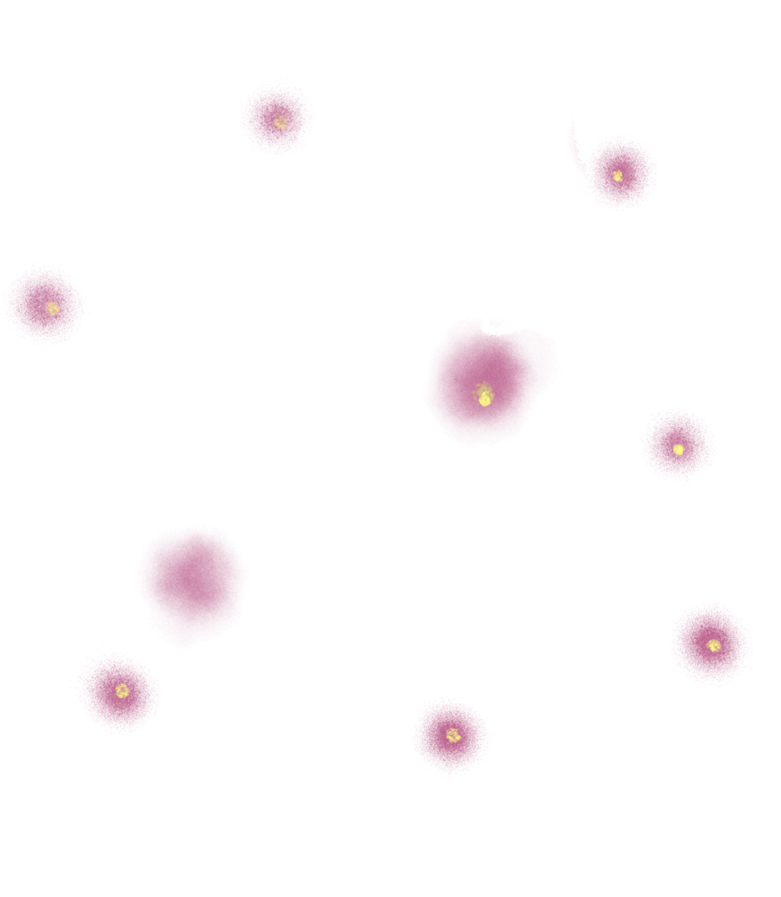 Feminist-participatory