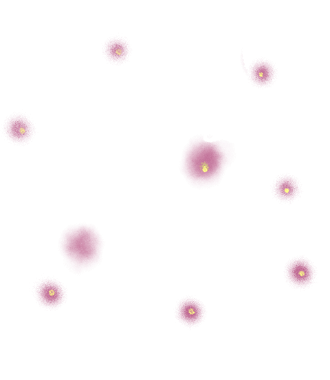 Feminist-participatory