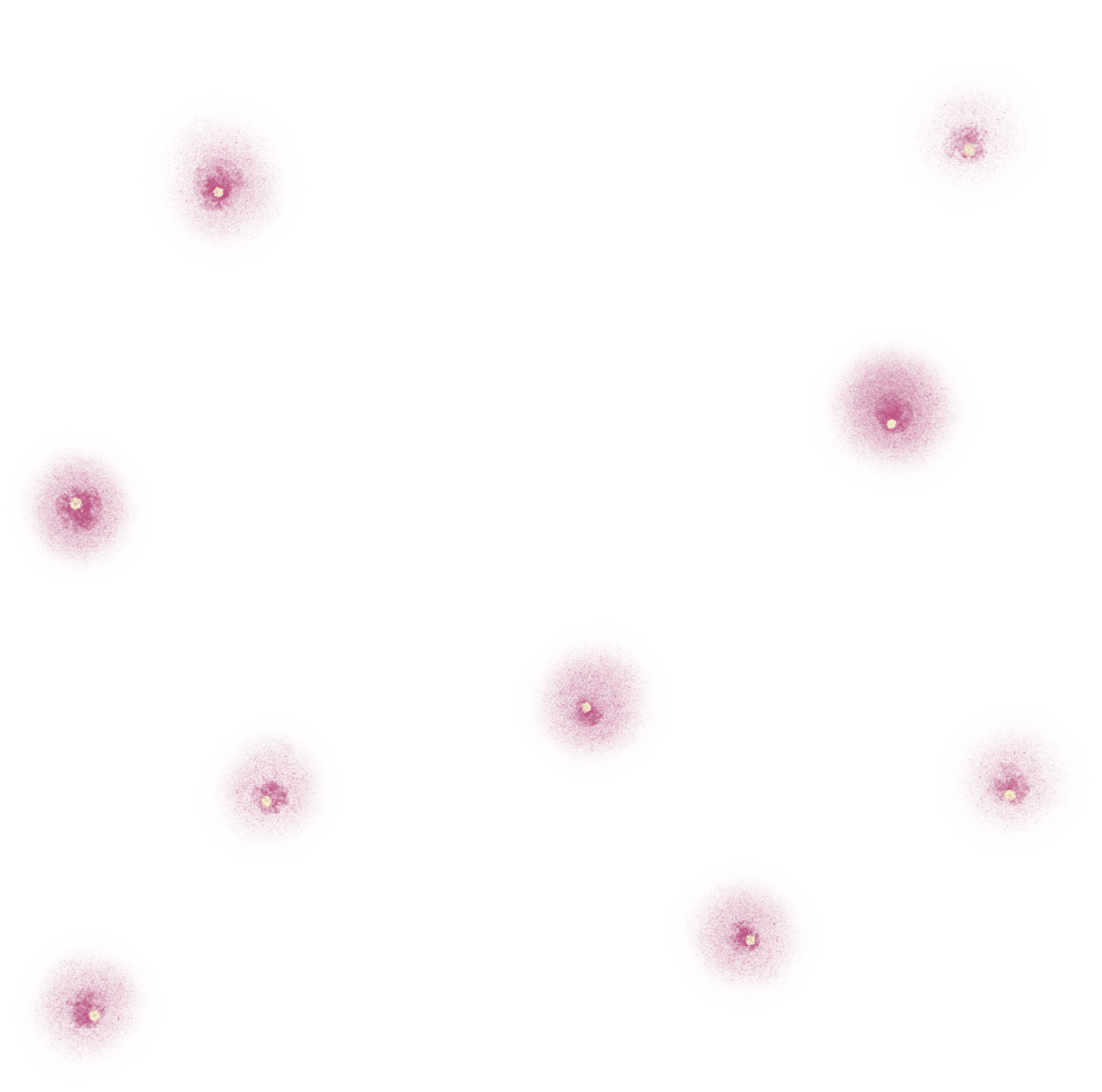 Movement-led-accountability